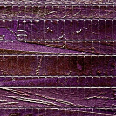 Papel de parede Calayan 90023 - Arte