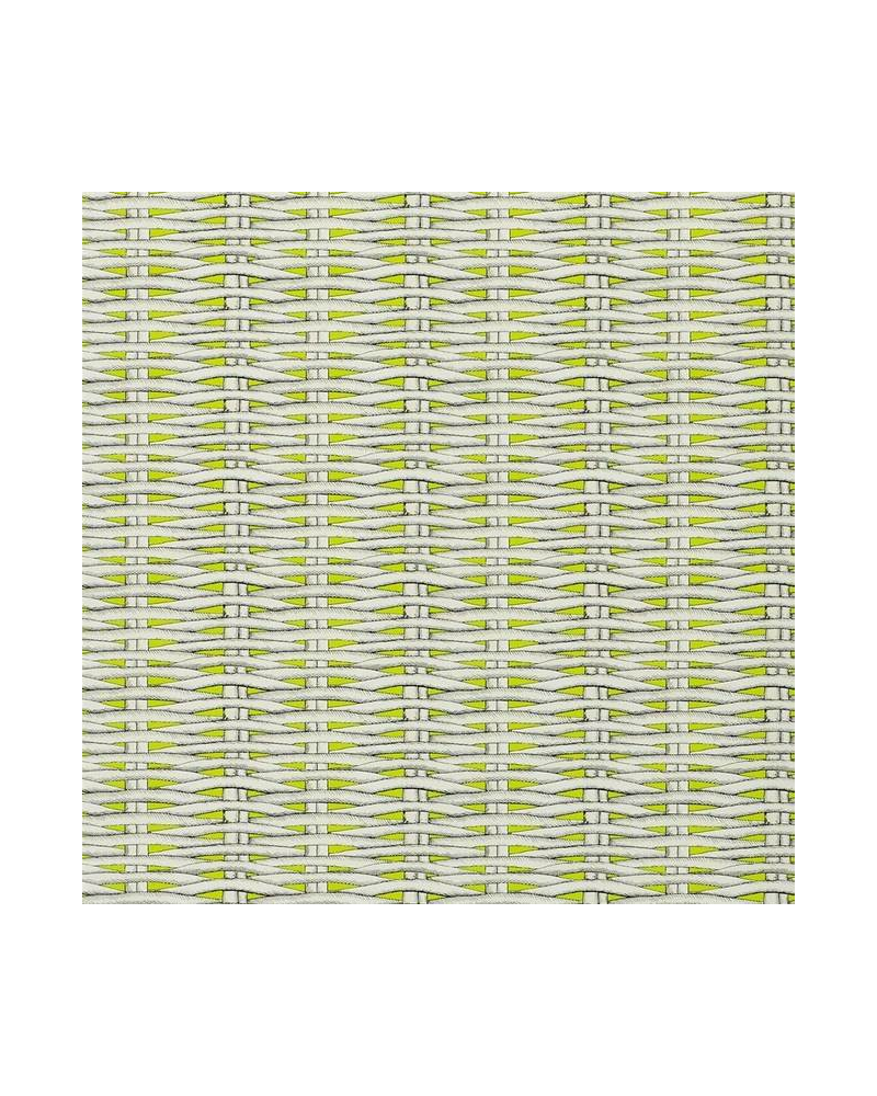Papel de parede PCL664-05 BARBADE - LIME - CHRISTIAN LACROIX Papel de parede PCL664-05 BARBADE - LIME - CHRISTIAN LACROIX
