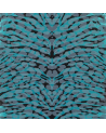 PANTIGRE - TURQUISE