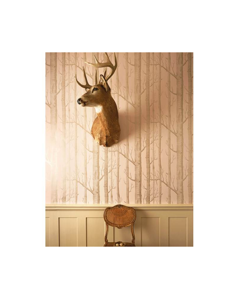 Papel de parede Woods 103-5022 - COLE and SON