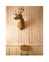 Papel de parede Woods 103-5022 - COLE and SON