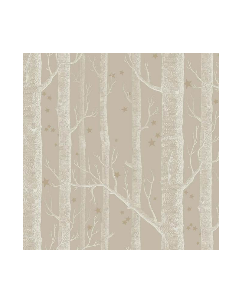 Papel de parede Woods and Stars 103-11047 - COLE and SON