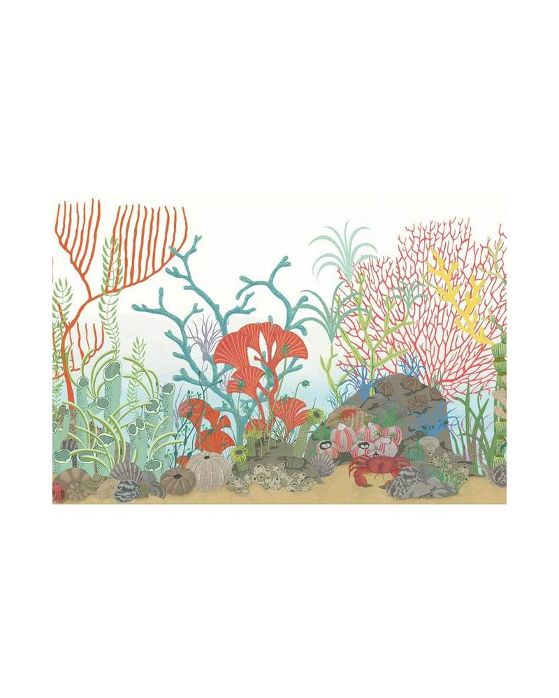 Tapete Archipelago Border 103-12054 - COLE and SON Tapete Archipelago Border 103-12054 - COLE and SON