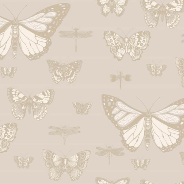 Papel de parede Butterflies and  Dragonflies 103-15064 - COLE and SON