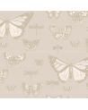 Butterflies and Dragonflies 103-15064