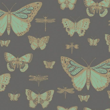 Wallpaper Butterflies and  Dragonflies 103-15067 - COLE and SON