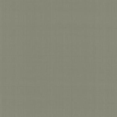 Papel Pintado PLAIN NABUCCO - TOSCA - MACBETH N. GA1 9067 - ARMANI CASA