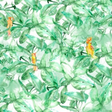 Wallpaper Find Parrots Mural - 4800074 - COORDONNE