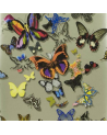 Wallpaper PCL008-05 BUTTERFLY PARADE - PLATINE - CHRISTIAN LACROIX