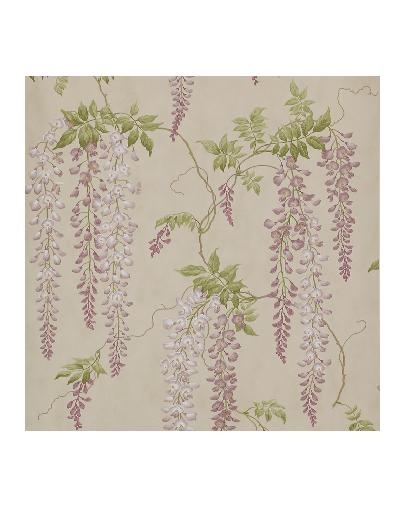 Tapete CFW7157-03 SEREPHINA Amethyst - COLEFAX AND FOWLER