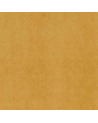 GDT-5034-012 Moutarde de Villamayor