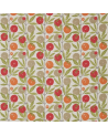 NFIK120358-blomma-tangerine Chili-Citrus