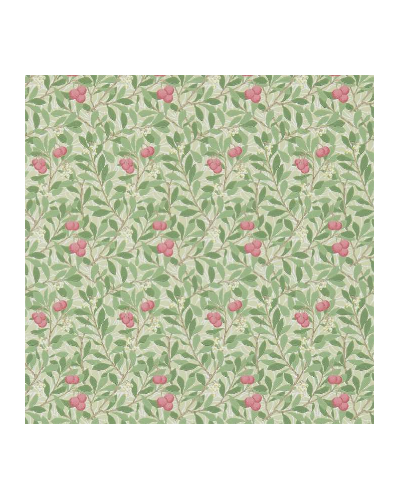 Papel de parede DM3W214720 Arbutus - MORRIS CO Papel de parede DM3W214720 Arbutus - MORRIS CO