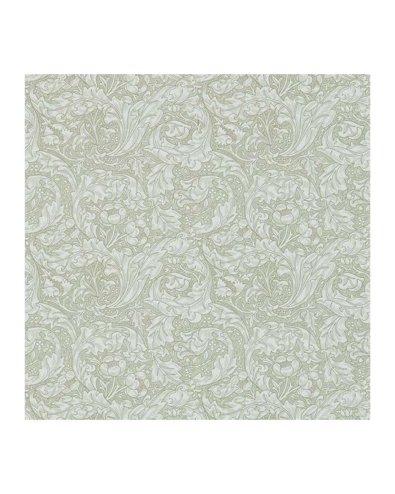 Carta da Parati DM3W214733 Bachelors Button - MORRIS CO Carta da Parati DM3W214733 Bachelors Button - MORRIS CO