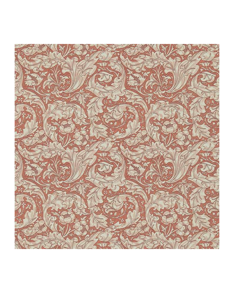 Papel de parede DM3W214734 Bachelors Button - MORRIS CO Papel de parede DM3W214734 Bachelors Button - MORRIS CO
