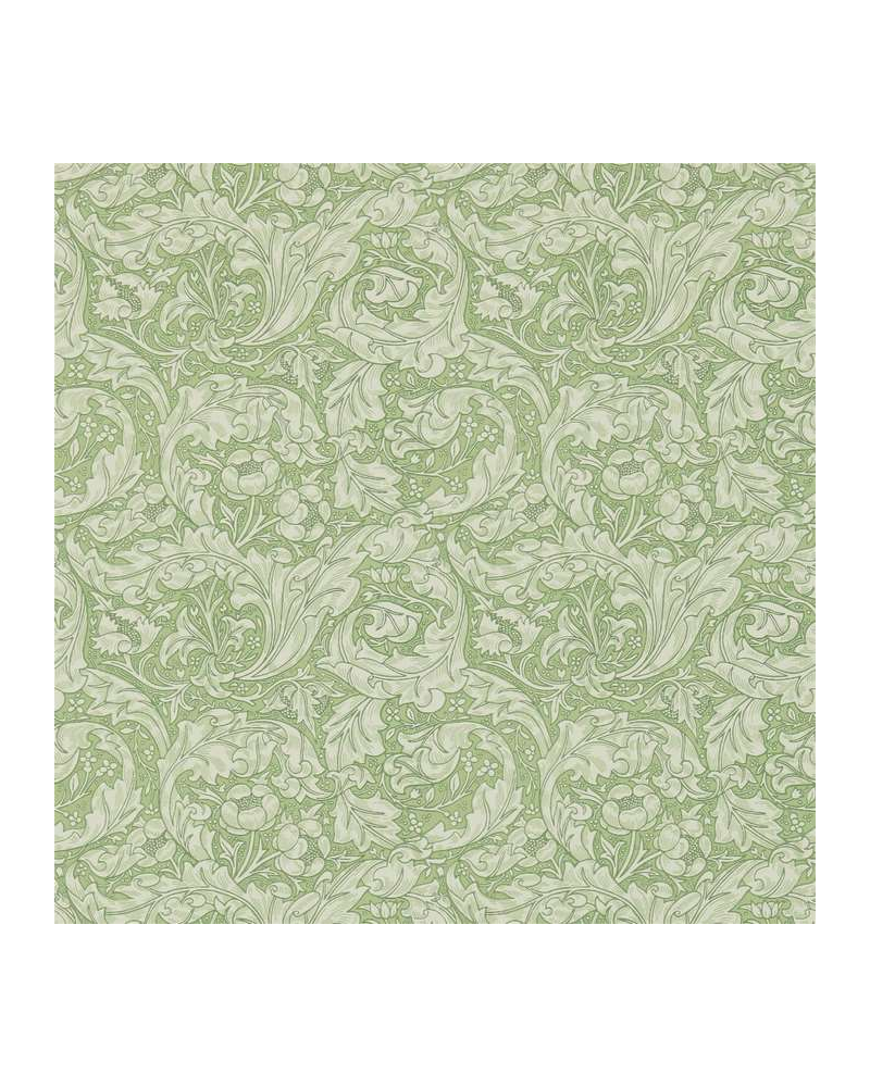 Papel de parede DM3W214736 Bachelors Button - MORRIS CO Papel de parede DM3W214736 Bachelors Button - MORRIS CO