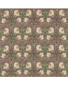 DM224491 Pimpernel