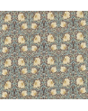 DM224492 Pimpernel