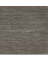 W403-06 Pica