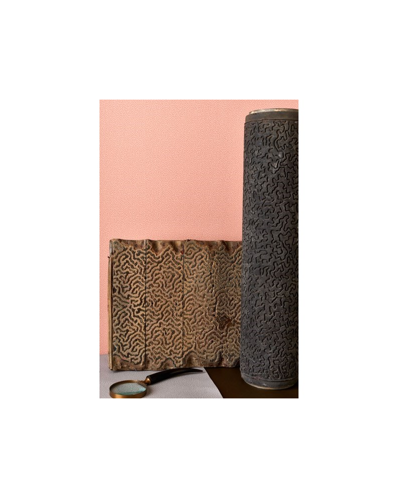 Carta da Parati Coral 106-5072 - COLE and SON