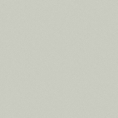 Papier peint Pebble 106-2017 - COLE and SON