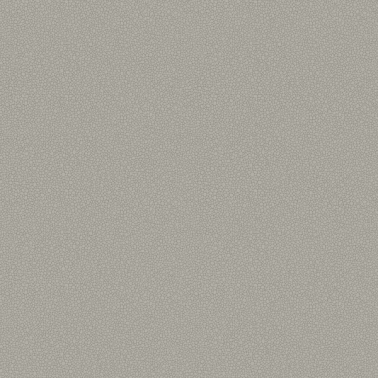 Papier peint Pebble 106-2018 - COLE and SON