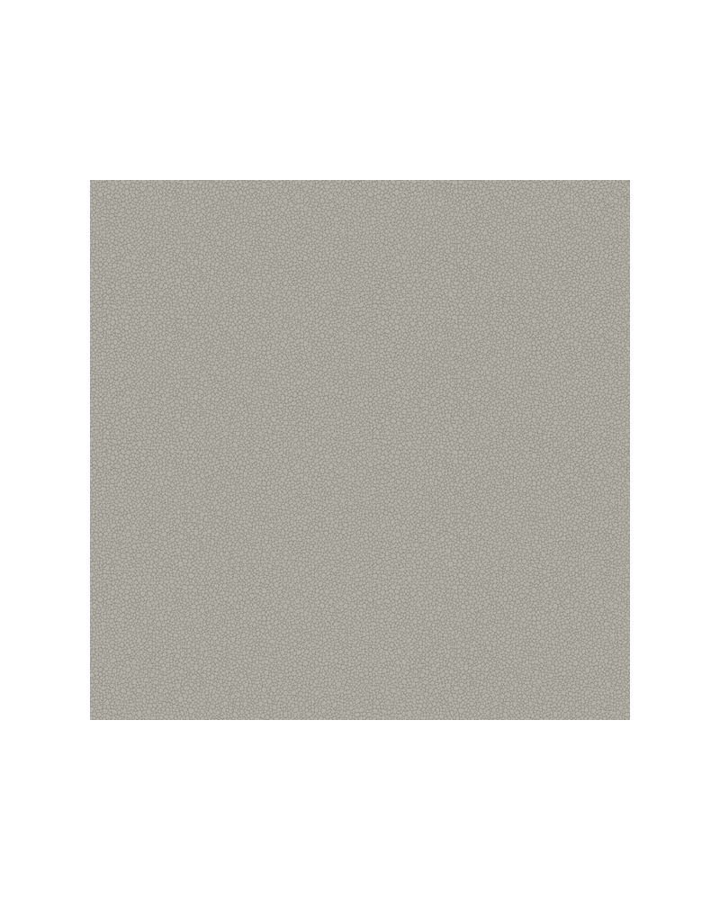 Papier peint Pebble 106-2018 - COLE and SON Papier peint Pebble 106-2018 - COLE and SON