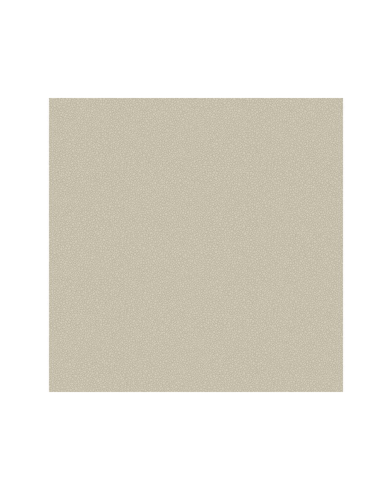 Papel de parede Pebble 106-2019 - COLE and SON Papel de parede Pebble 106-2019 - COLE and SON