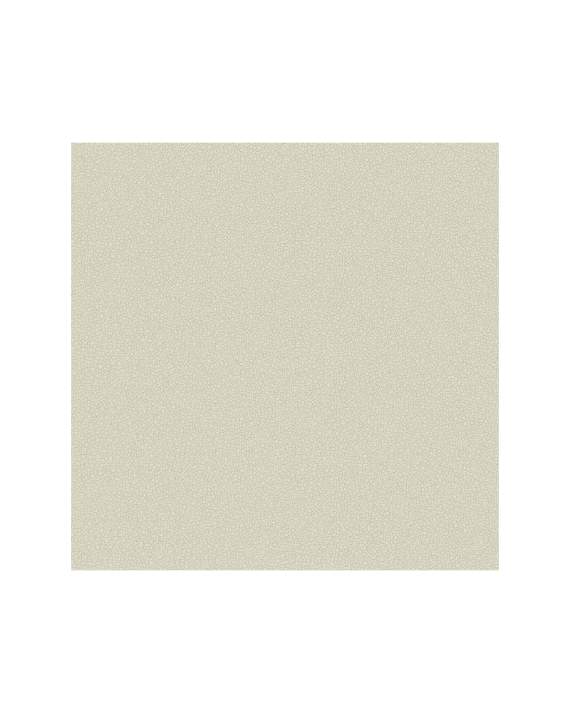 Papel de parede Pebble 106-2021 - COLE and SON Papel de parede Pebble 106-2021 - COLE and SON