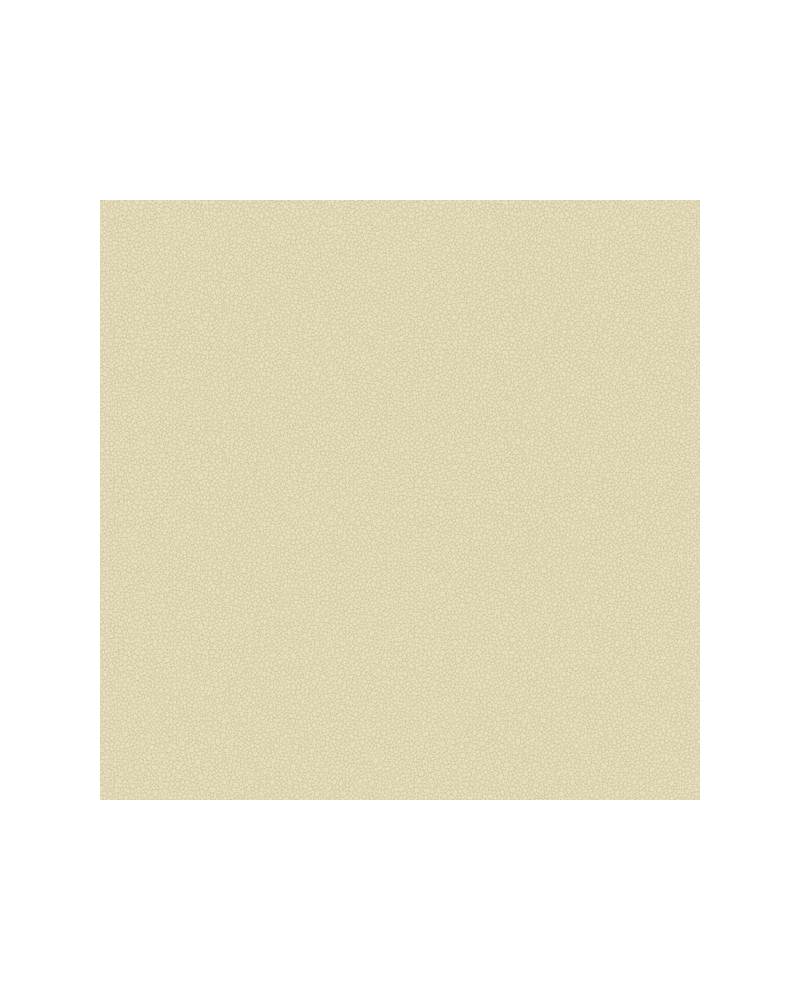Papier peint Pebble 106-2023 - COLE and SON Papier peint Pebble 106-2023 - COLE and SON