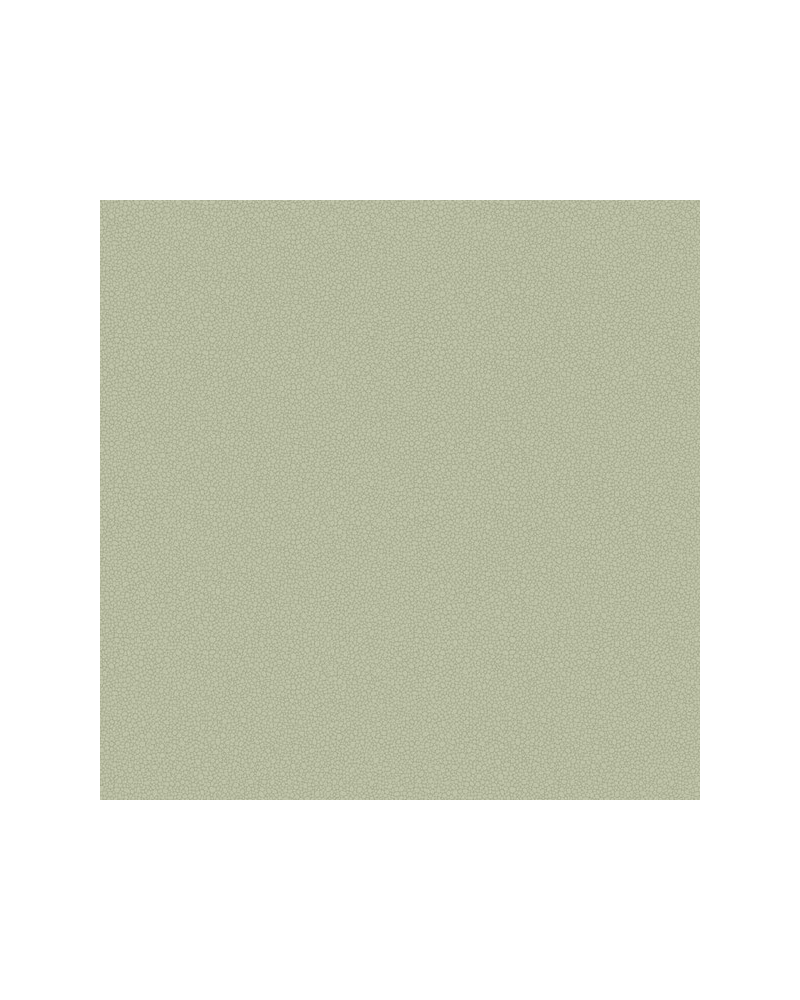 Papier peint Pebble 106-2027 - COLE and SON Papier peint Pebble 106-2027 - COLE and SON