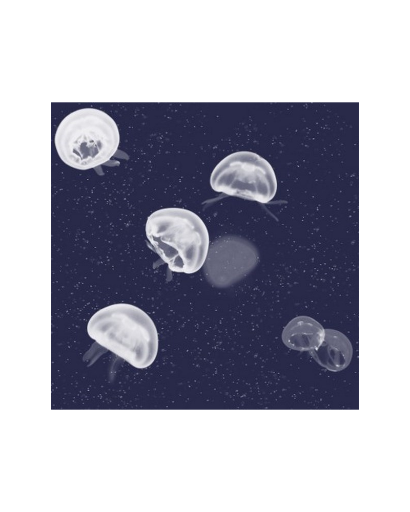 Wallpaper 5800011 Jellyfish blue - COORDONNE Wallpaper 5800011 Jellyfish blue - COORDONNE