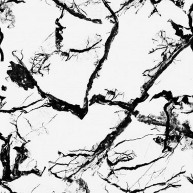 Papier peint 5800041 Marble White - COORDONNE