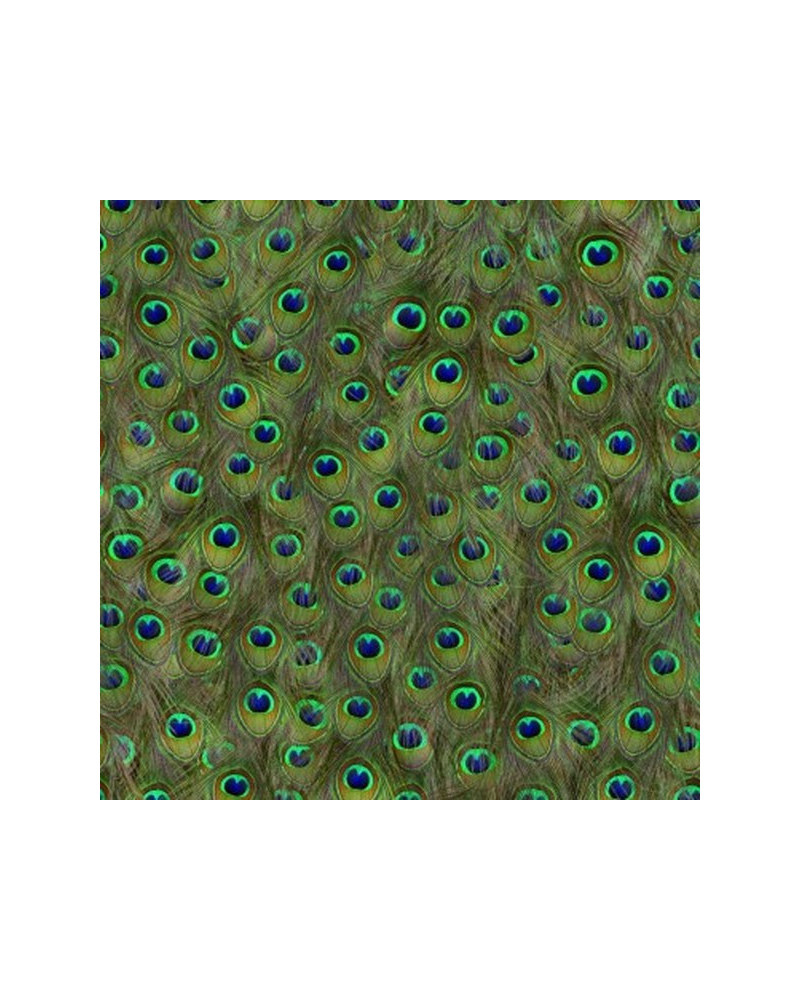 Papier peint 5800051 Peafowl Original - COORDONNE Papier peint 5800051 Peafowl Original - COORDONNE