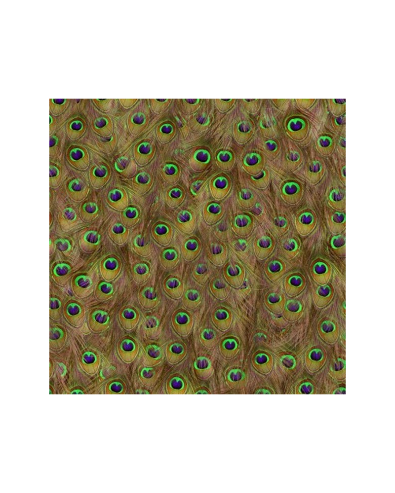 Papier peint 5800052 Peafowl Warm - COORDONNE Papier peint 5800052 Peafowl Warm - COORDONNE
