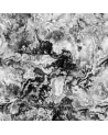 5800083 Star Collision Noir