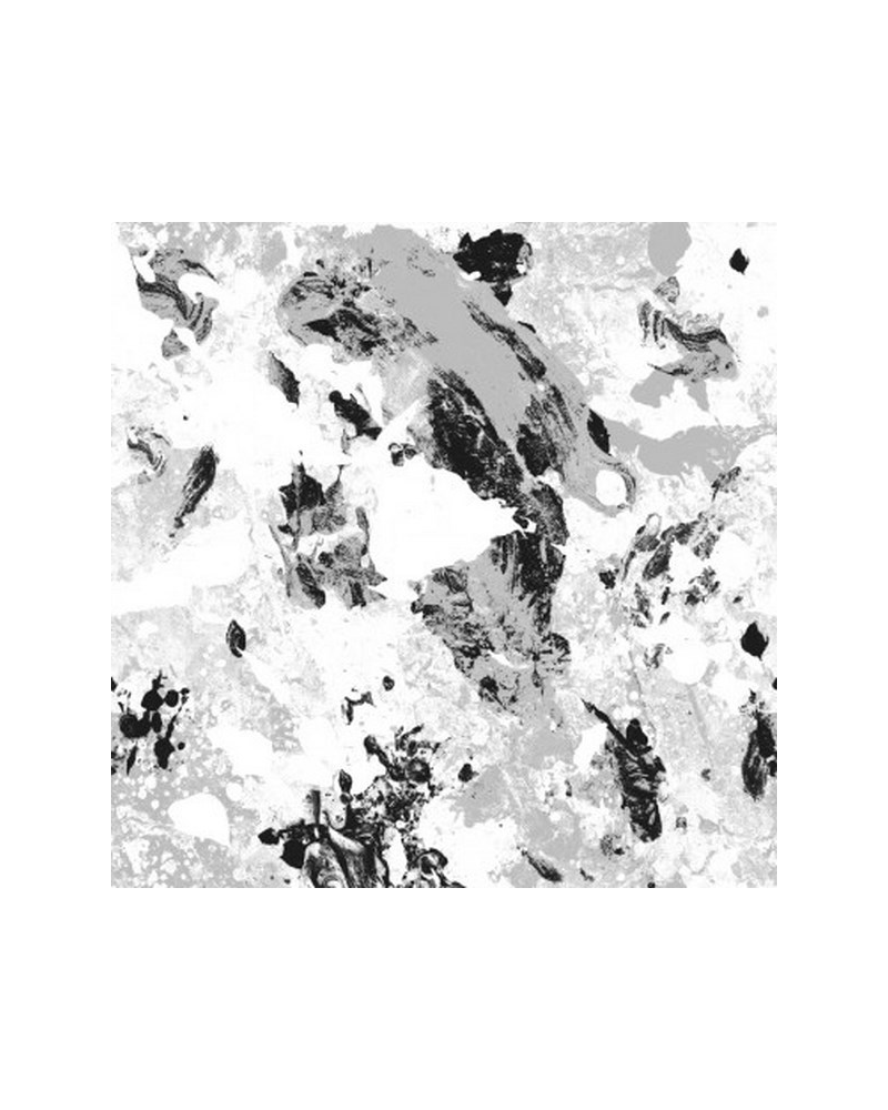 Tapete 5800101 Pollock Silver - COORDONNE Tapete 5800101 Pollock Silver - COORDONNE