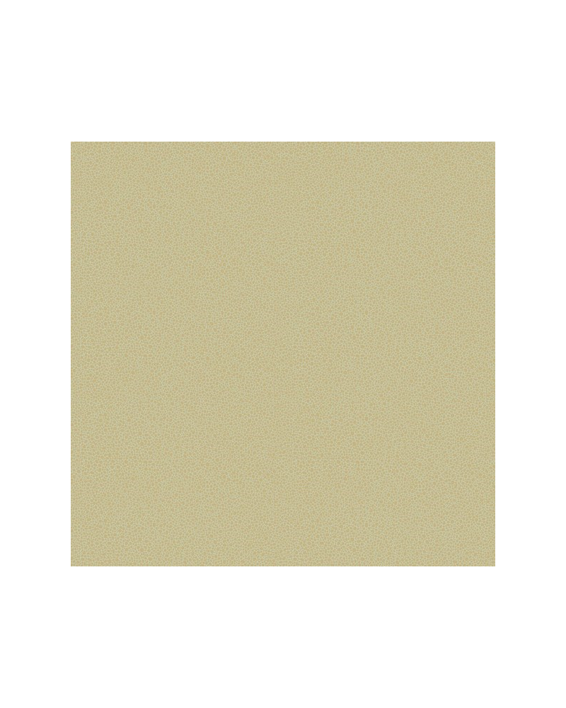 Papel de parede Goldstone 107-9041 - COLE and SON Papel de parede Goldstone 107-9041 - COLE and SON
