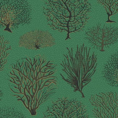 Papel de parede Seafern 107-2007 - COLE and SON