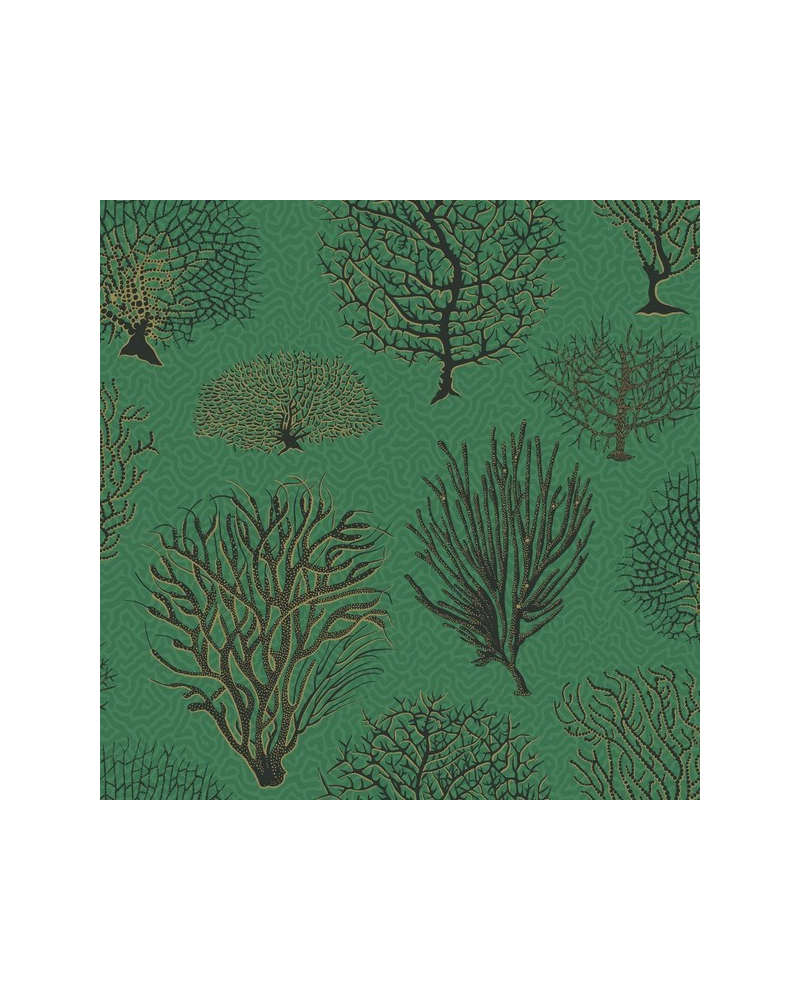 Papier peint Seafern 107-2007 - COLE and SON Papier peint Seafern 107-2007 - COLE and SON