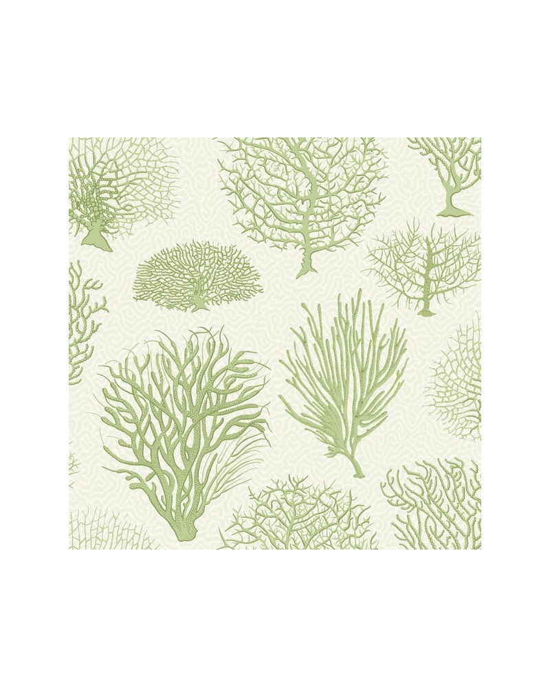 Papel de parede Seafern 107-2008 - COLE and SON Papel de parede Seafern 107-2008 - COLE and SON