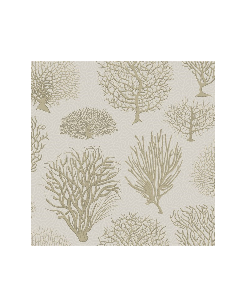 Papel de parede Seafern 107-2010 - COLE and SON Papel de parede Seafern 107-2010 - COLE and SON
