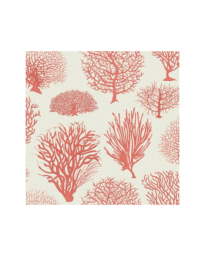 Papier lackiert Seafern 107-2011 - COLE and SON Papier lackiert Seafern 107-2011 - COLE and SON