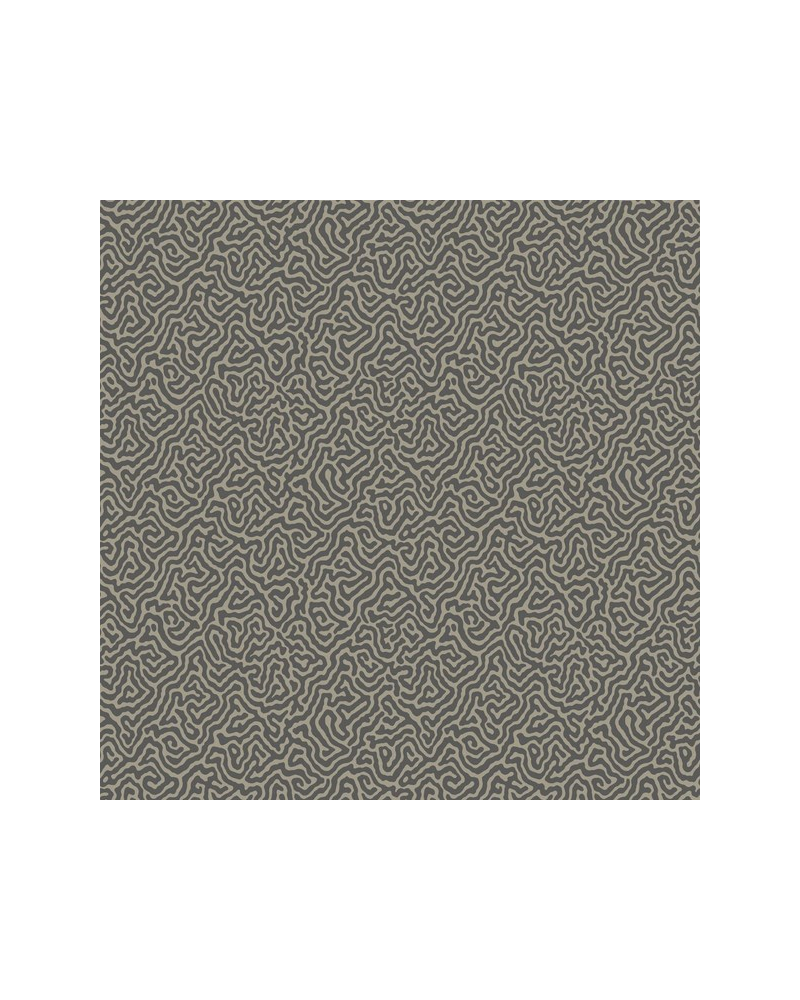 Papel de parede Vermicelli 107-4017 - COLE and SON Papel de parede Vermicelli 107-4017 - COLE and SON