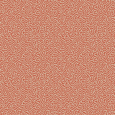 Papel de parede Vermicelli 107-4018 - COLE and SON