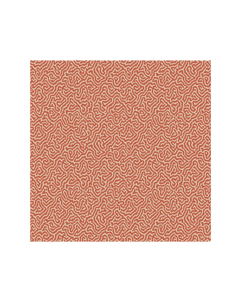 Wallpaper Vermicelli 107-4018 - COLE and SON Wallpaper Vermicelli 107-4018 - COLE and SON