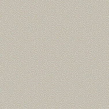 Papel de parede Vermicelli 107-4019 - COLE and SON