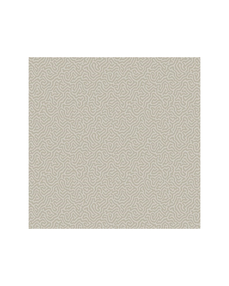Papel de parede Vermicelli 107-4019 - COLE and SON Papel de parede Vermicelli 107-4019 - COLE and SON