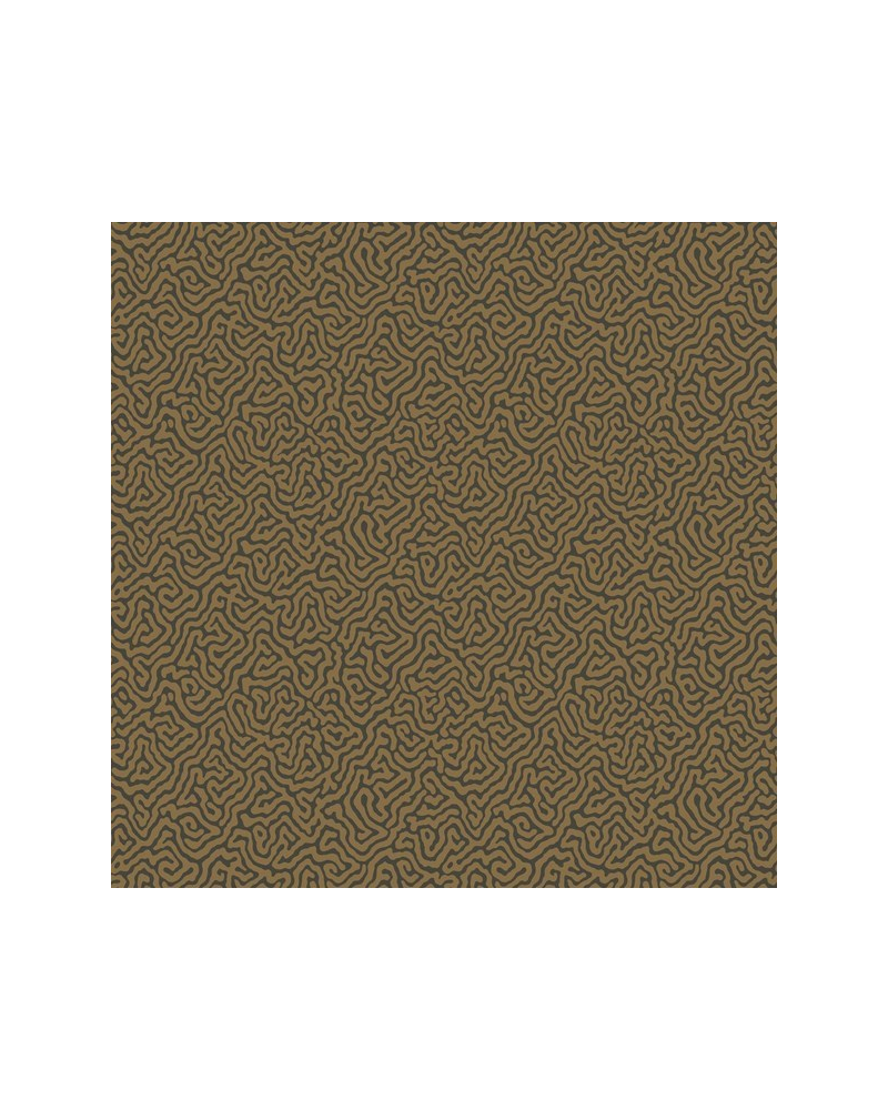 Wallpaper Vermicelli 107-4020 - COLE and SON Wallpaper Vermicelli 107-4020 - COLE and SON