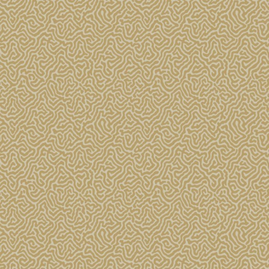 Papel de parede Vermicelli 107-4021 - COLE and SON